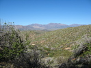 photo thumbnail #5