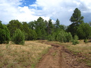 photo thumbnail #3