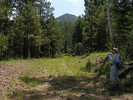 photo thumbnail #3