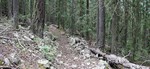 photo thumbnail #5