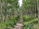 photo thumbnail #10