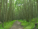photo thumbnail #11
