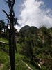 photo thumbnail #6