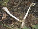photo thumbnail #7