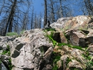 photo thumbnail #9