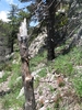 photo thumbnail #15
