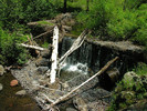 photo thumbnail #7