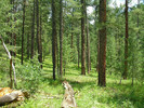 photo thumbnail #8
