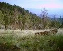 photo thumbnail #8