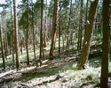 photo thumbnail #9