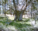 photo thumbnail #11