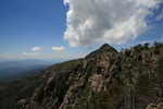 photo thumbnail #4