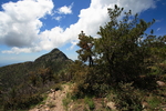 photo thumbnail #6