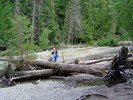 photo thumbnail #4