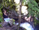 photo thumbnail #15