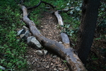 photo thumbnail #12