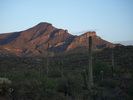 photo thumbnail #1