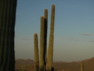 photo thumbnail #5