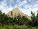 photo thumbnail #2
