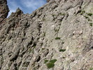 photo thumbnail #13