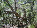 photo thumbnail #10