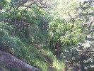 photo thumbnail #11