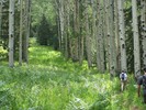 photo thumbnail #5