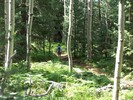 photo thumbnail #15
