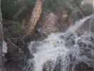 recent photo