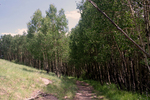 photo thumbnail #9