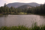 2008-08-02 :2: Escudilla Trail :: Randal_Schulhauser