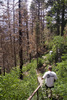 photo thumbnail #5