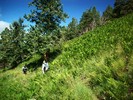 photo thumbnail #7
