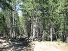 photo thumbnail #2
