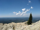 photo thumbnail #6