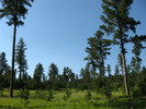 photo thumbnail #9
