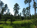 photo thumbnail #10