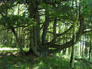 photo thumbnail #3