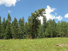 photo thumbnail #13