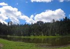 photo thumbnail #3