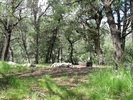 photo thumbnail #14