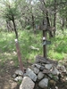 photo thumbnail #15