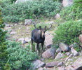 photo thumbnail #13