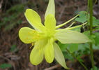 photo thumbnail #15