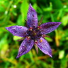 photo thumbnail #14