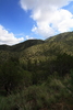 photo thumbnail #11