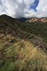 photo thumbnail #12
