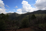 photo thumbnail #13