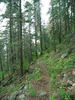 photo thumbnail #6