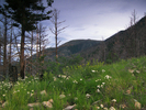 photo thumbnail #13